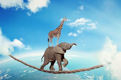 How Stellar Co. Avoided 7 Common Mistakes When Choosing a Marketing Agency